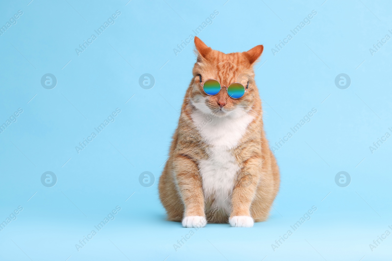 Photo of Cute ginger cat in stylish sunglasses on light blue background