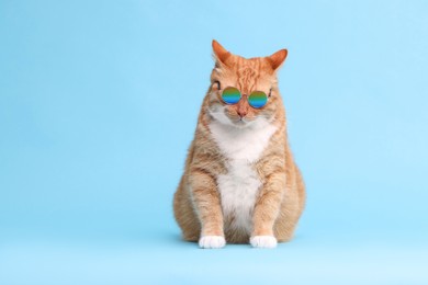 Cute ginger cat in stylish sunglasses on light blue background