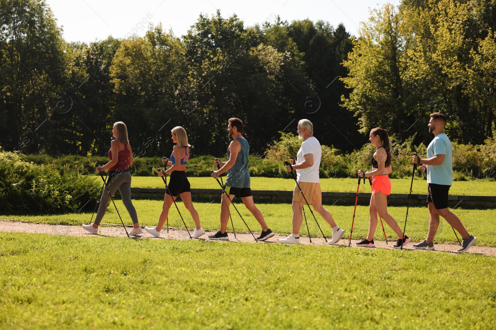 Photo of Group of people practicing Nordic walking with poles in park on sunny day