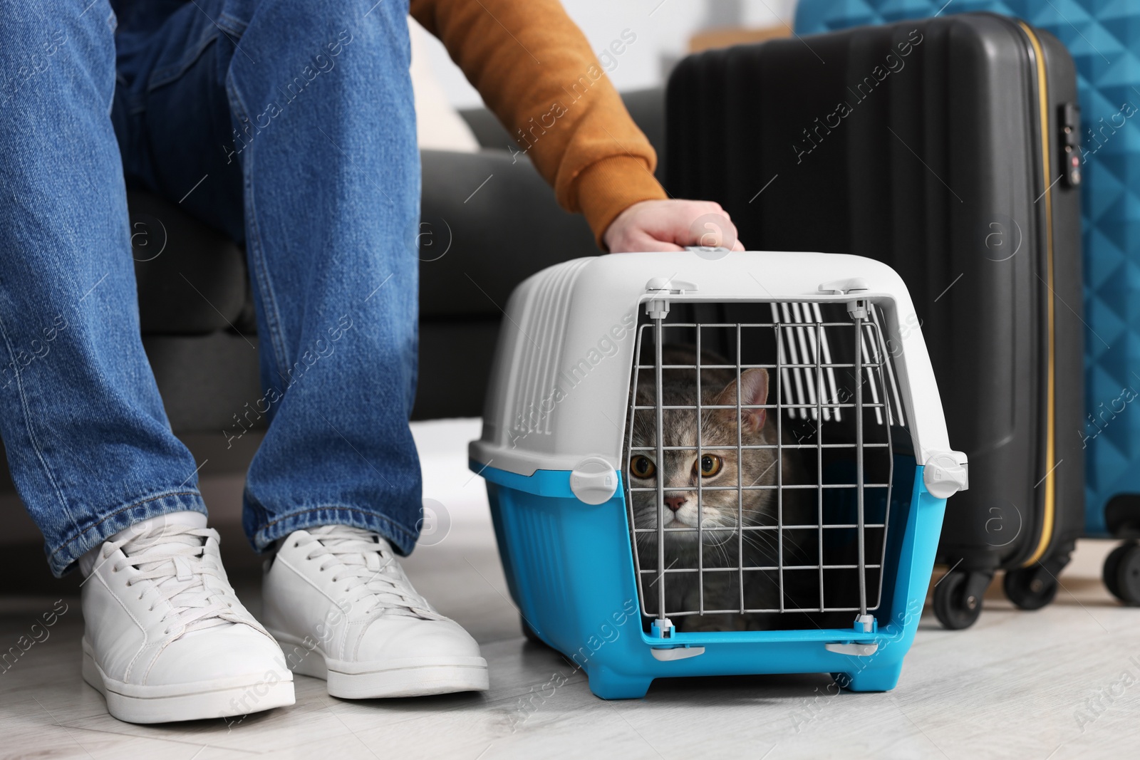 Photo of Travel with pet. Man near carrier with cute cat indoors, closeup