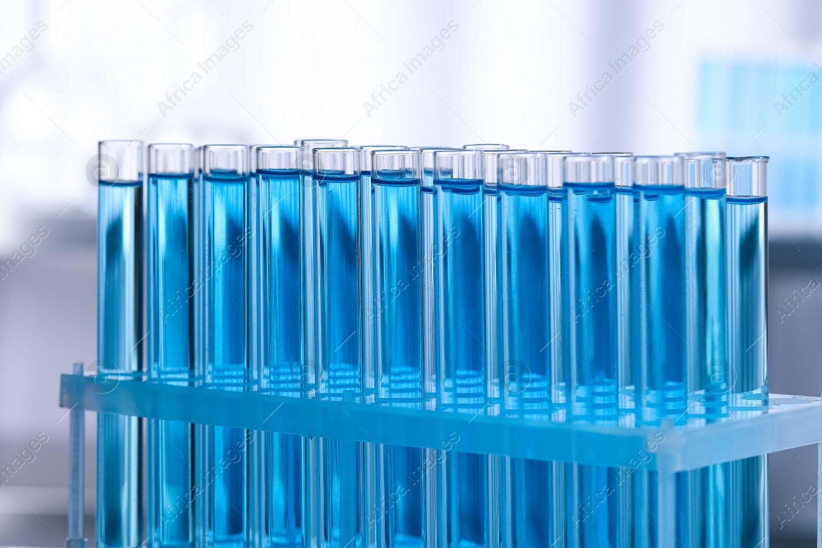 Photo of Test tubes with reagents in rack on blurred background, closeup. Laboratory analysis