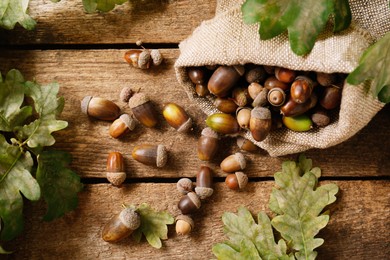 Photo of Sack with acorns and oak leaves on wooden table, flat lay