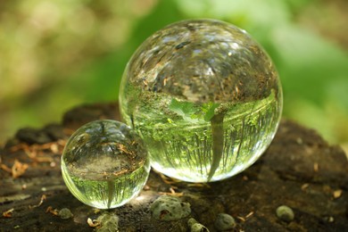 Green trees outdoors, overturned reflection. Crystal balls on stump in forest