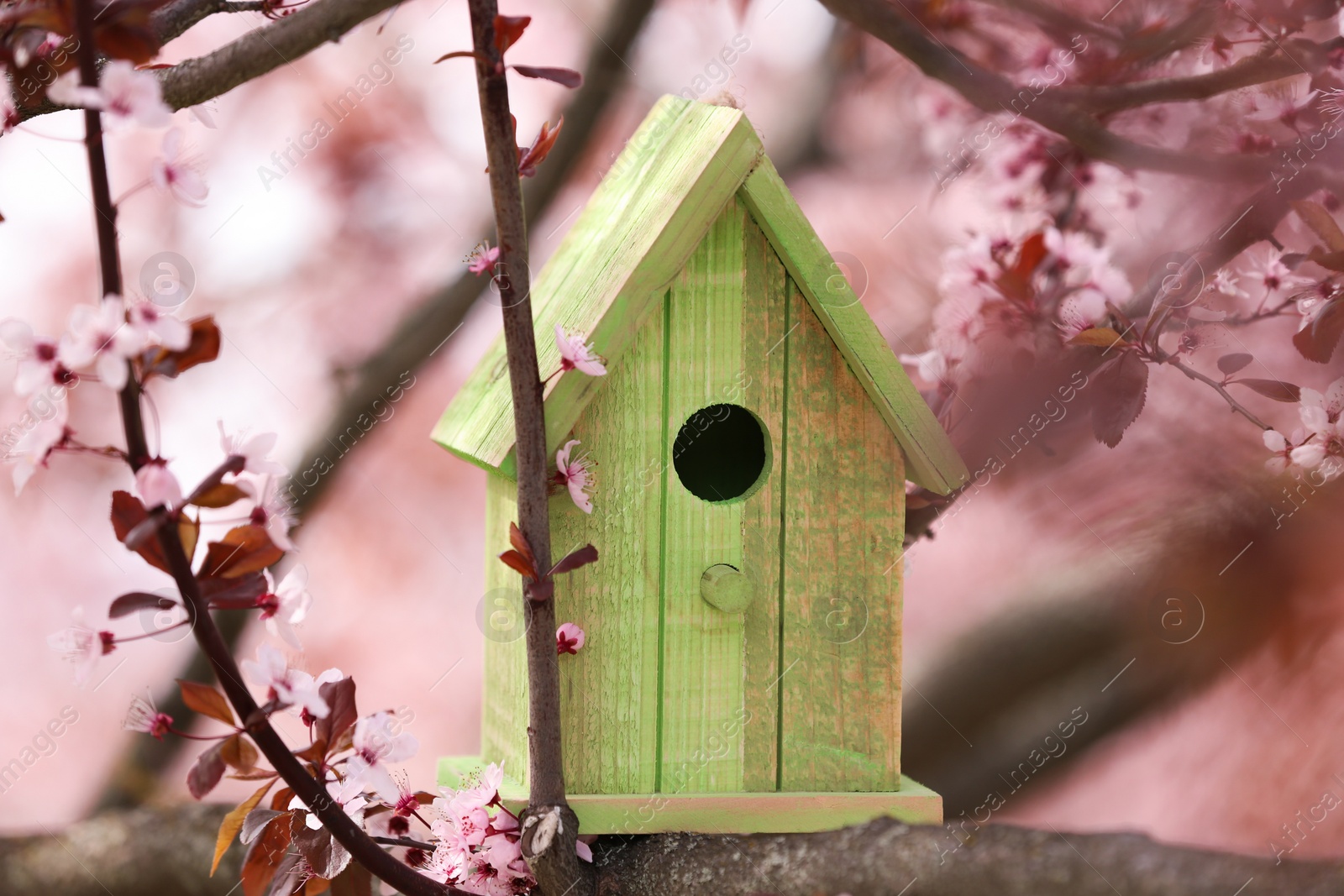 Photo of Green bird house on tree branch outdoors