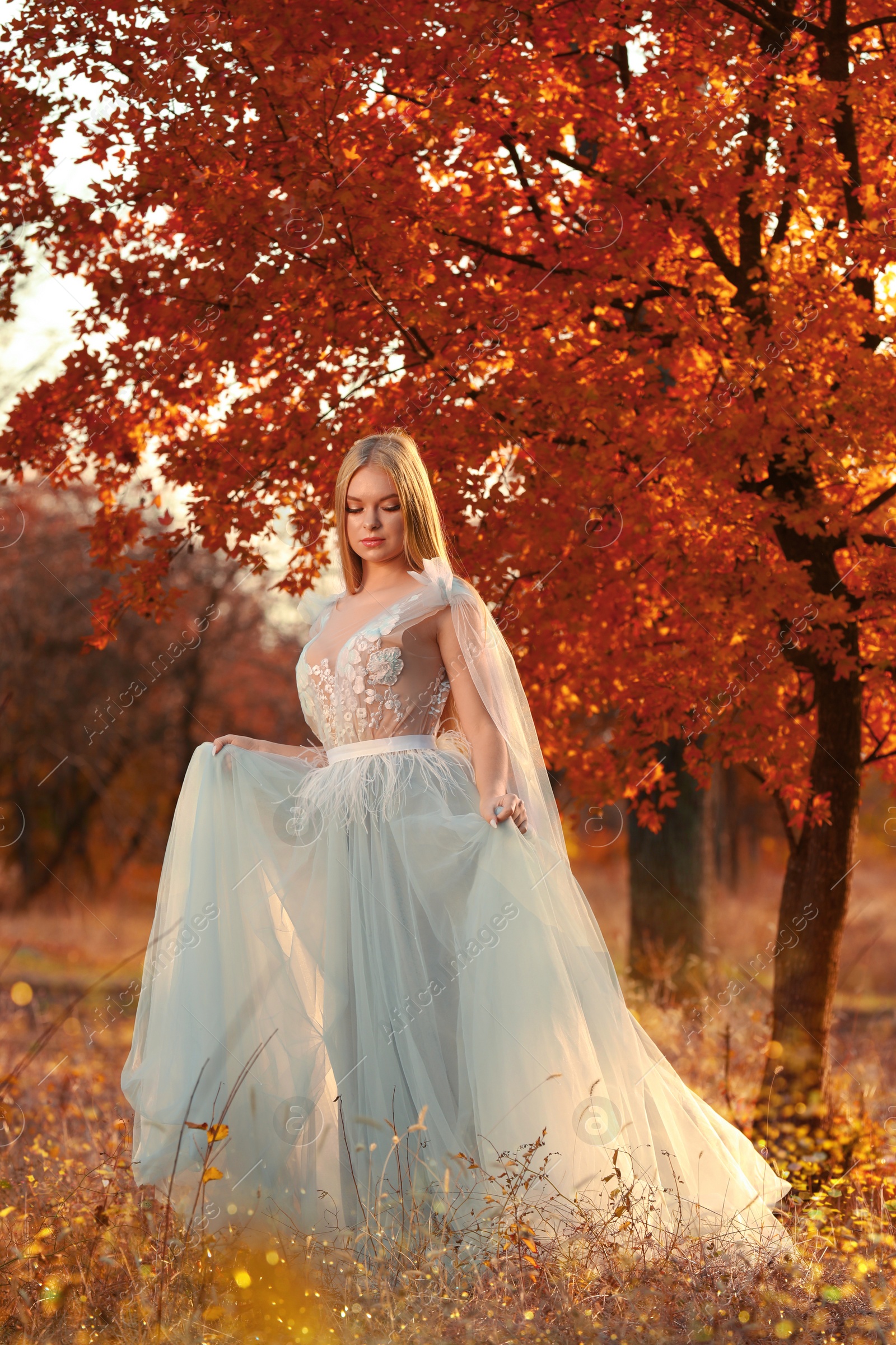 Photo of Beautiful girl wearing fairy dress in autumn forest