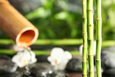 Photo of Bamboo branches against blurred fountain and spa stones. Space for text