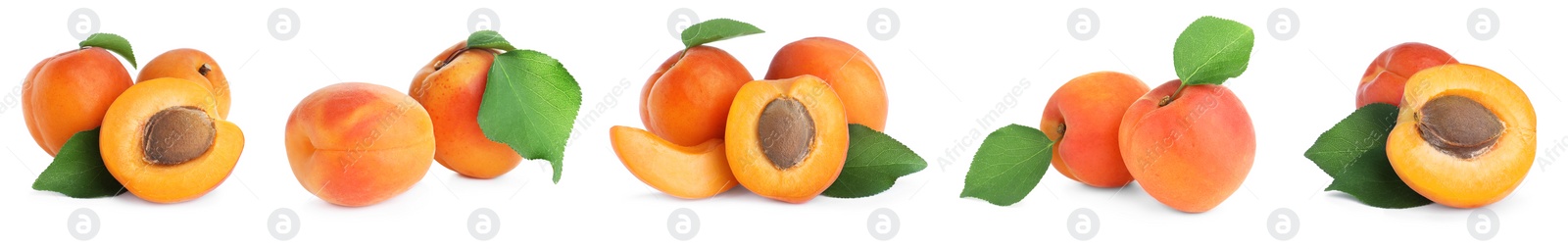 Image of Set of fresh apricots on white background. Banner design