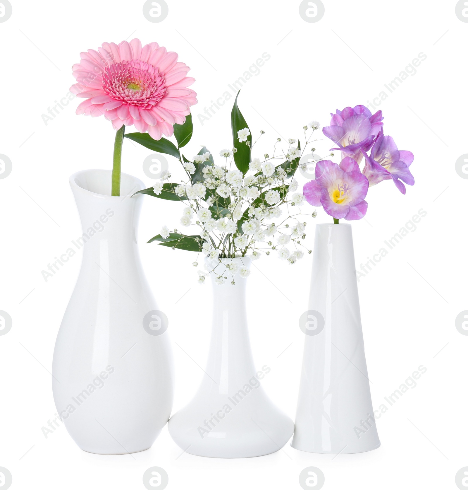 Photo of Beautiful fresh flowers in vases on white background