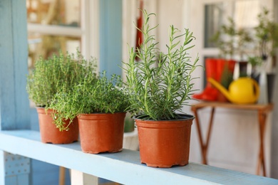 Fresh potted home plants on light blue wooden veranda railing outdoors, space for text