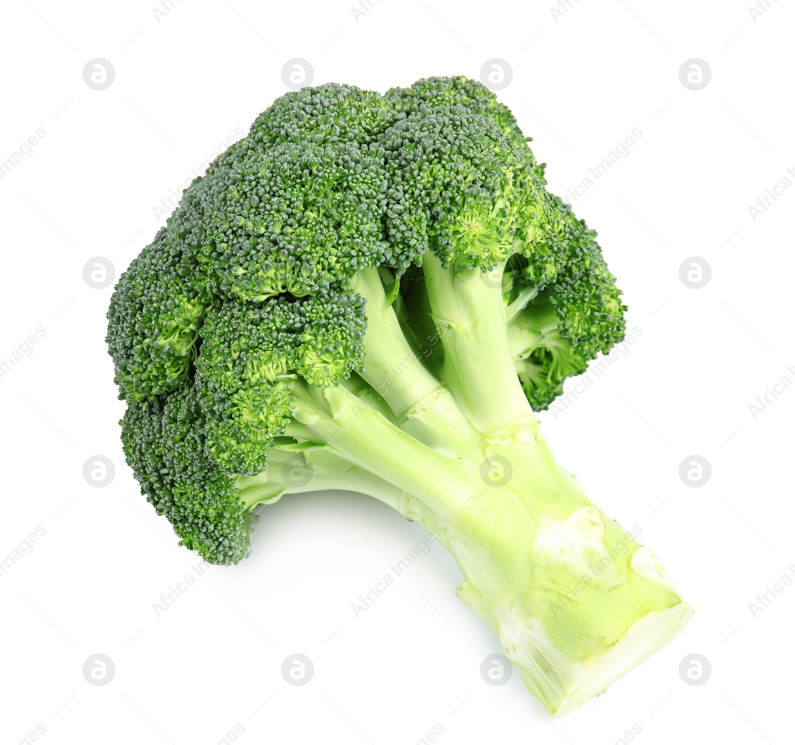 Photo of Fresh green broccoli on white background. Organic food