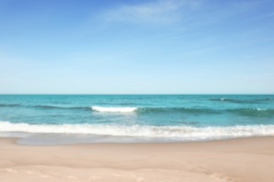 Blurred view of beautiful sea and sandy beach on sunny day