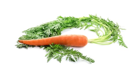 Photo of Fresh ripe carrot on white background. Wholesome vegetable