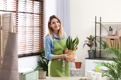 Photo of Young woman with houseplant indoors. Interior element