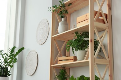 Photo of Wooden shelving unit with beautiful house plants indoors, low angle view. Home design idea