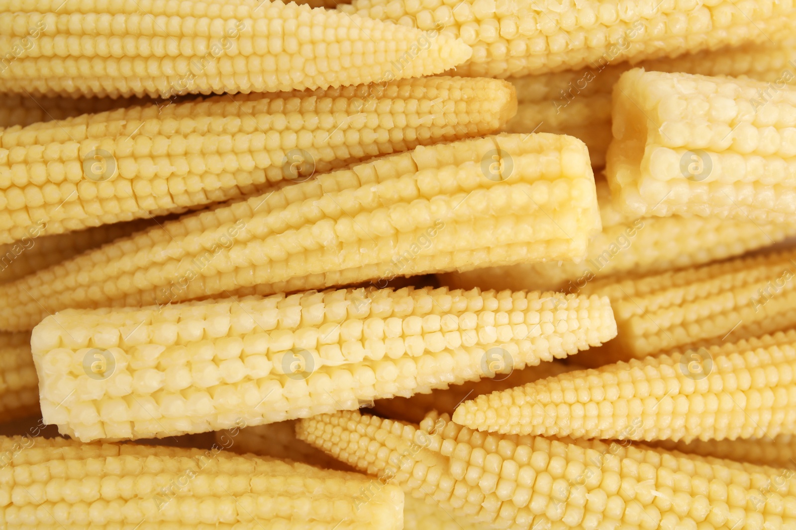 Photo of Pile of fresh baby corn cobs as background, closeup