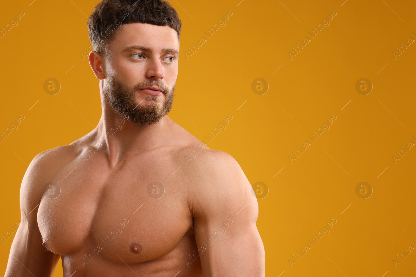 Photo of Muscular man on orange background, space for text. Sexy body