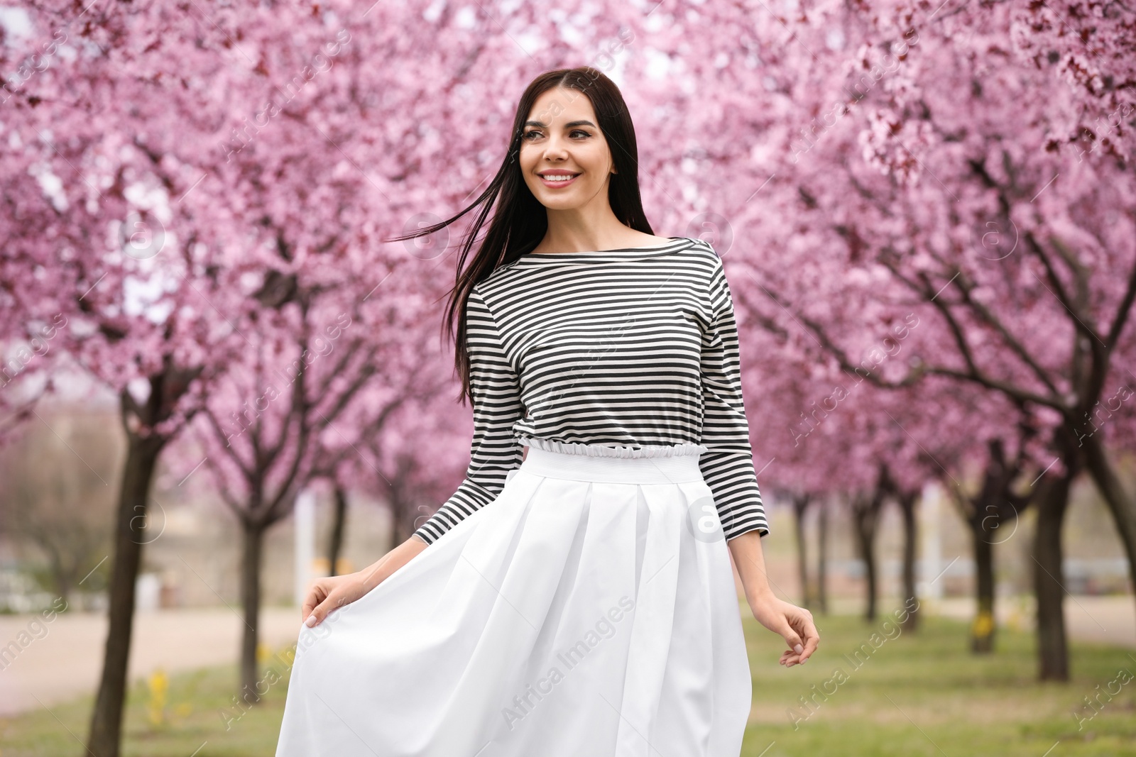 Photo of Pretty young woman in park with blooming trees. Spring look