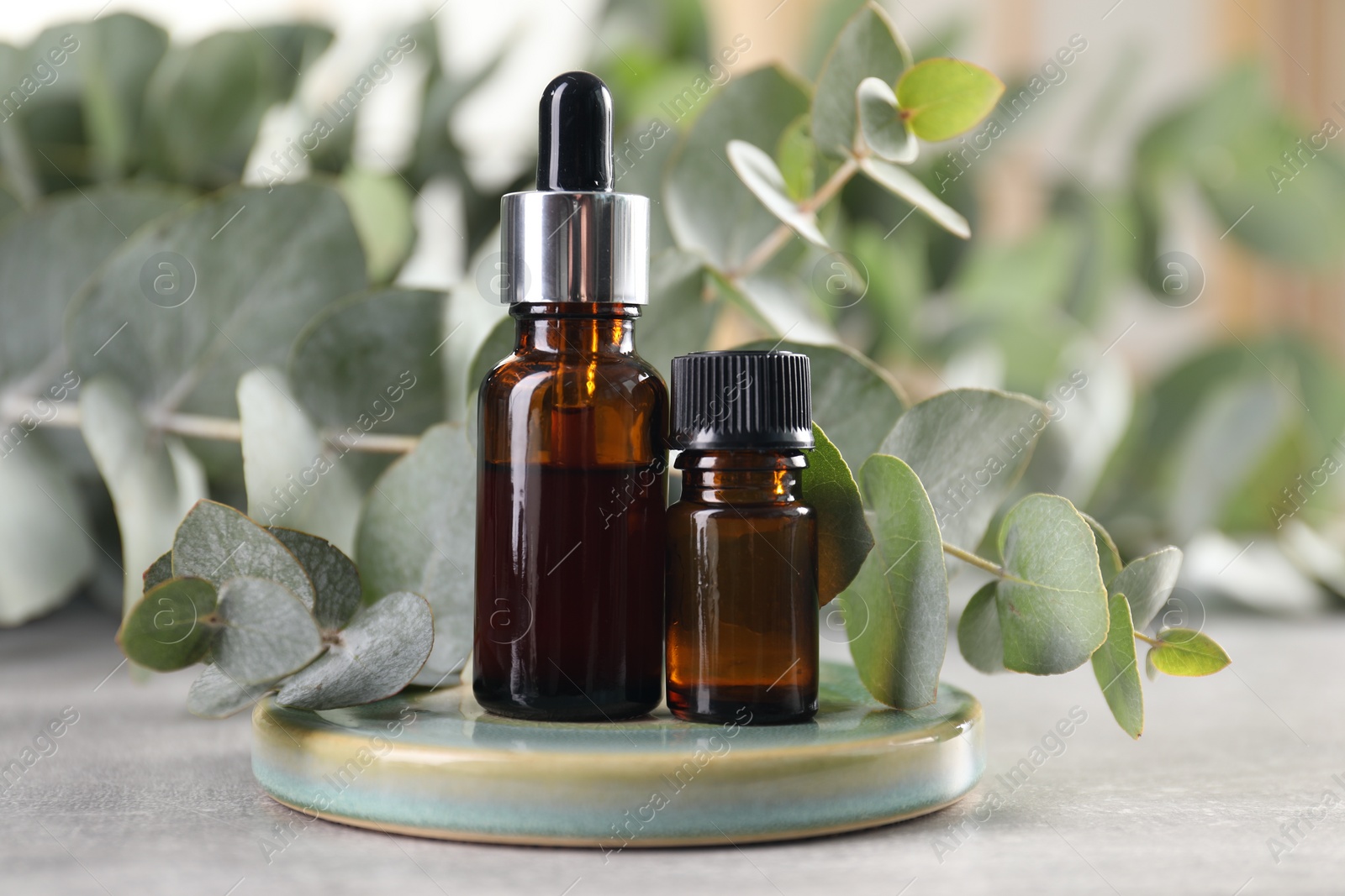 Photo of Aromatherapy. Bottles of essential oil and eucalyptus leaves on grey table