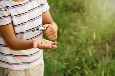 Photo of Closeup view of little boy exploring ladybug outdoors, space for text. Child spending time in nature