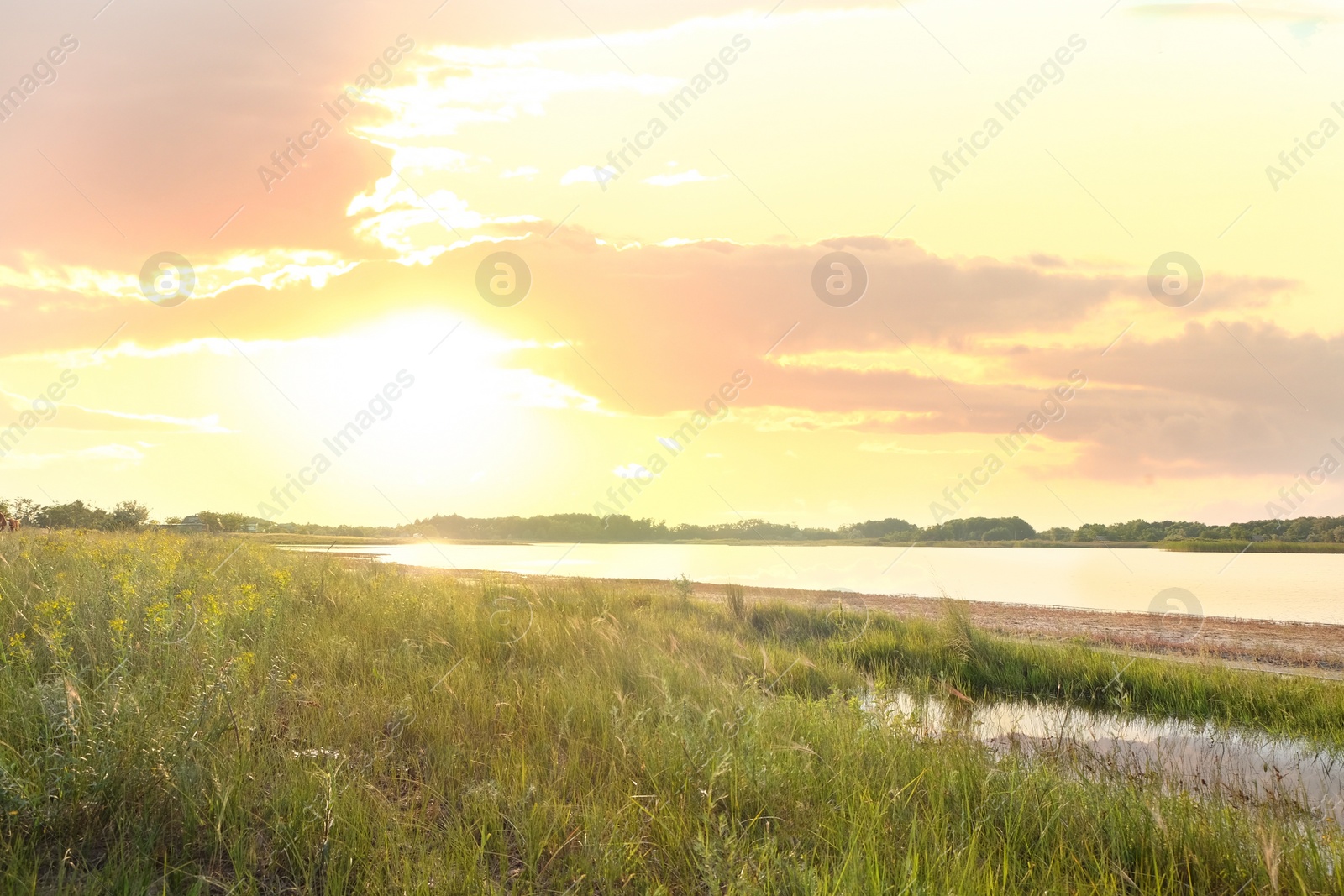 Photo of Picturesque landscape with beautiful lake on sunny day