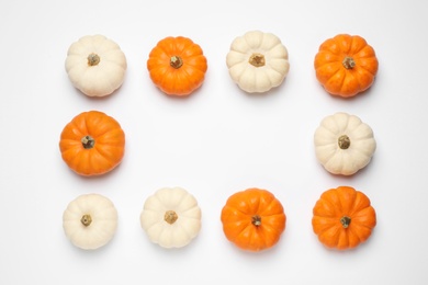 Frame made of different ripe pumpkins on white background, top view. Space for text