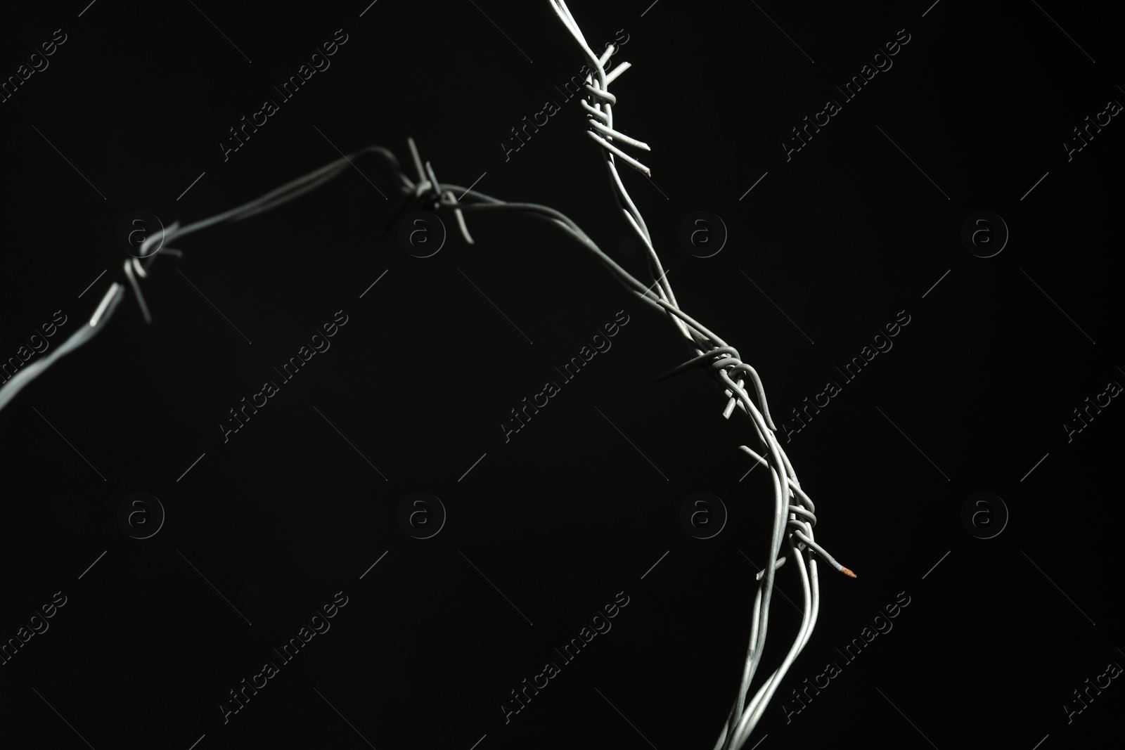 Photo of Shiny metal barbed wire on black background