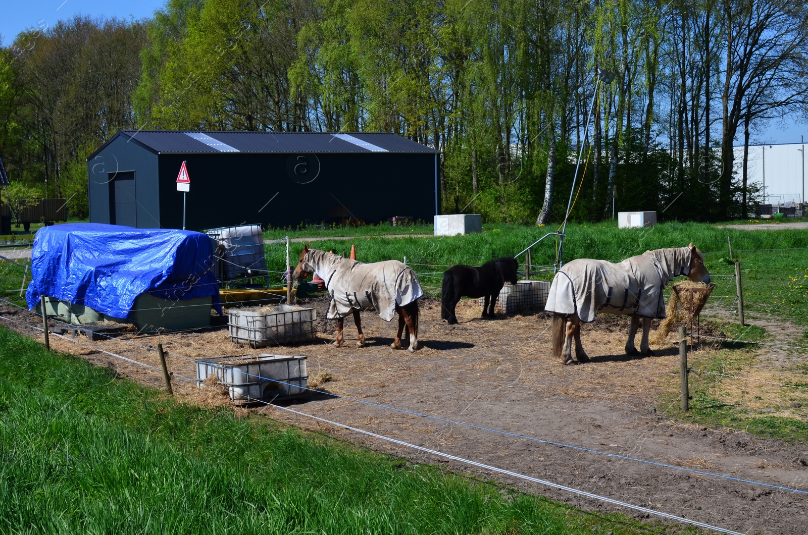 Photo of Beautiful horses wearing combo turnout rugs in paddock on sunny day