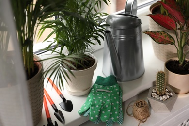 Photo of Different house plants and gardening tools on white window sill