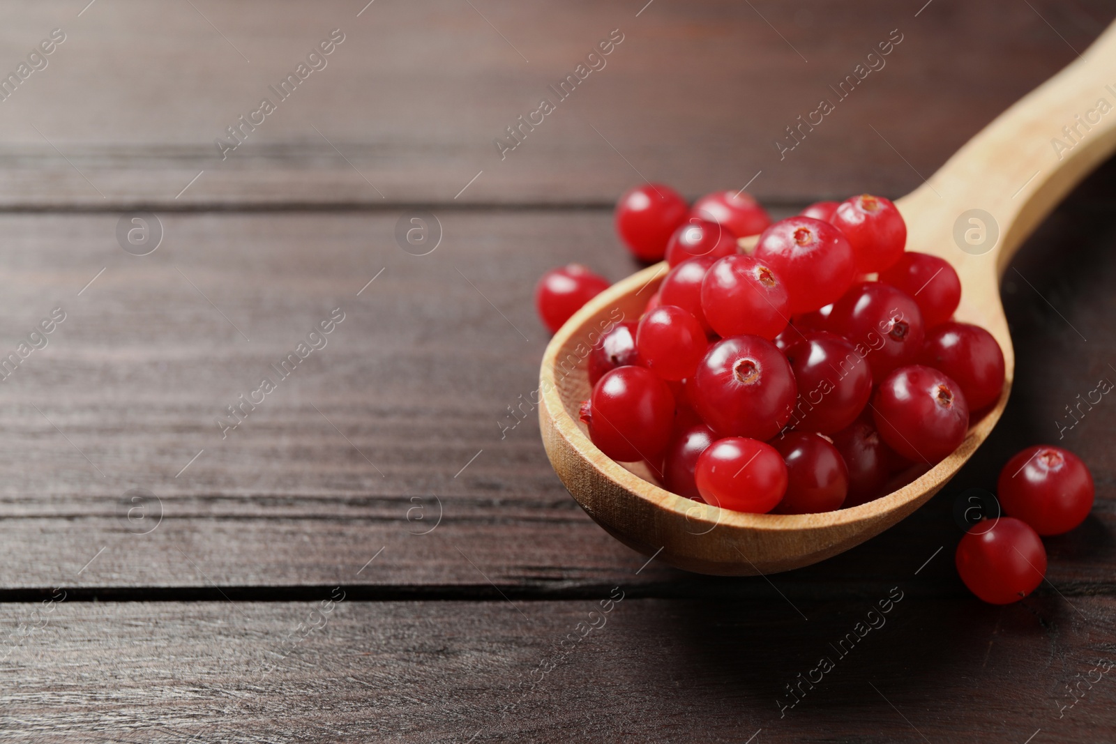 Photo of Fresh cranberry on wooden table, space for text