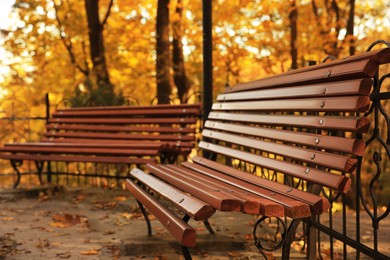 Wooden benches and fallen leaves in park on sunny day