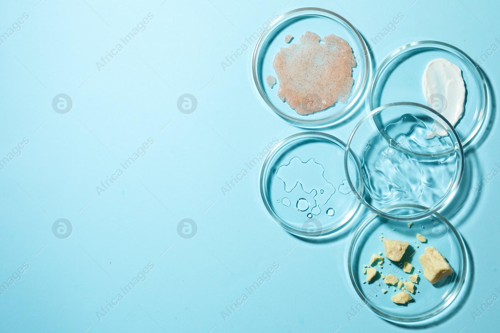 Photo of Many petri dishes with samples on light blue background, flat lay. Space for text