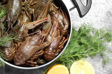 Photo of Fresh raw crayfishes in pot on grey table, top view