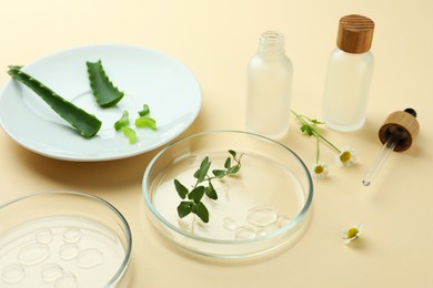 Composition with Petri dishes and plants on beige background