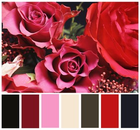 Image of Beautiful fresh flowers and color palette. Collage