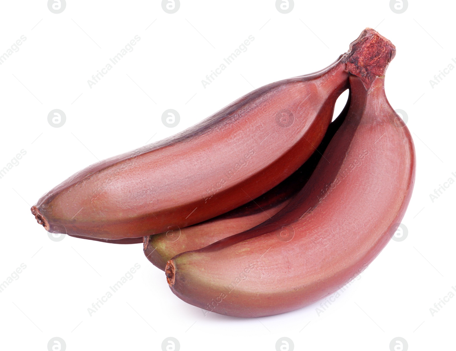 Photo of Delicious red baby bananas on white background