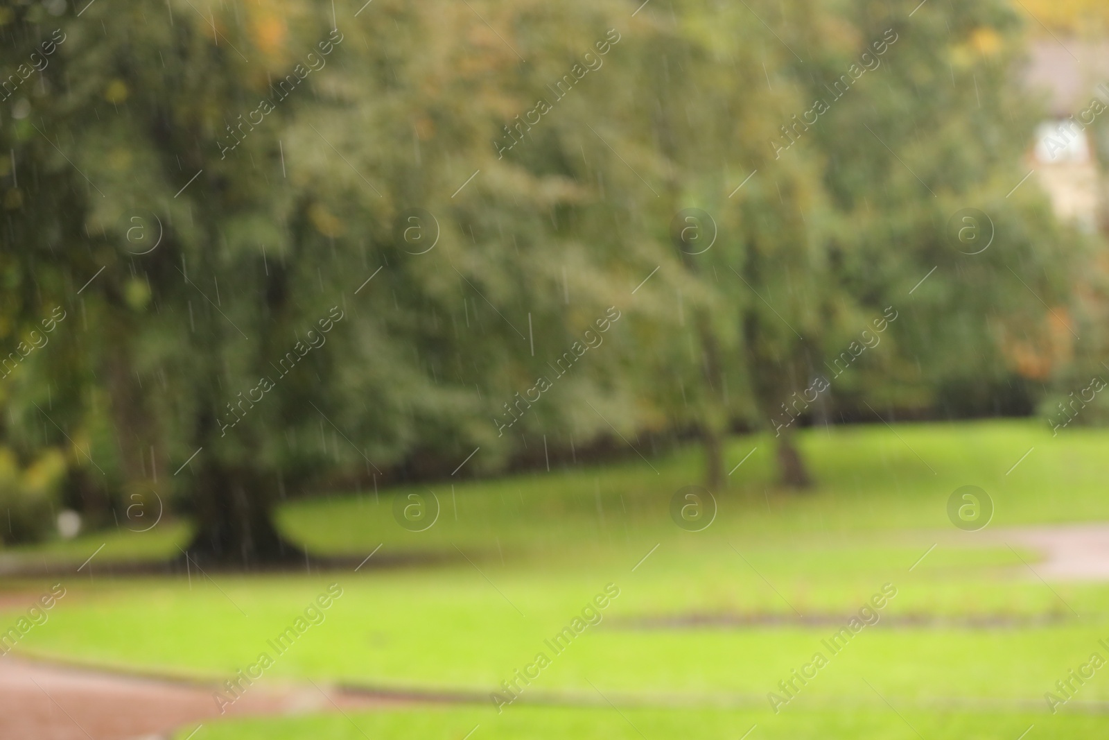 Photo of Blurred view of park on rainy day