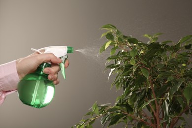 Photo of Woman spraying water onto houseplant against grey wall, closeup