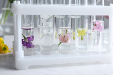 Photo of Test tubes with flowers on white table, closeup. Extracting essential oil for perfumery and cosmetics
