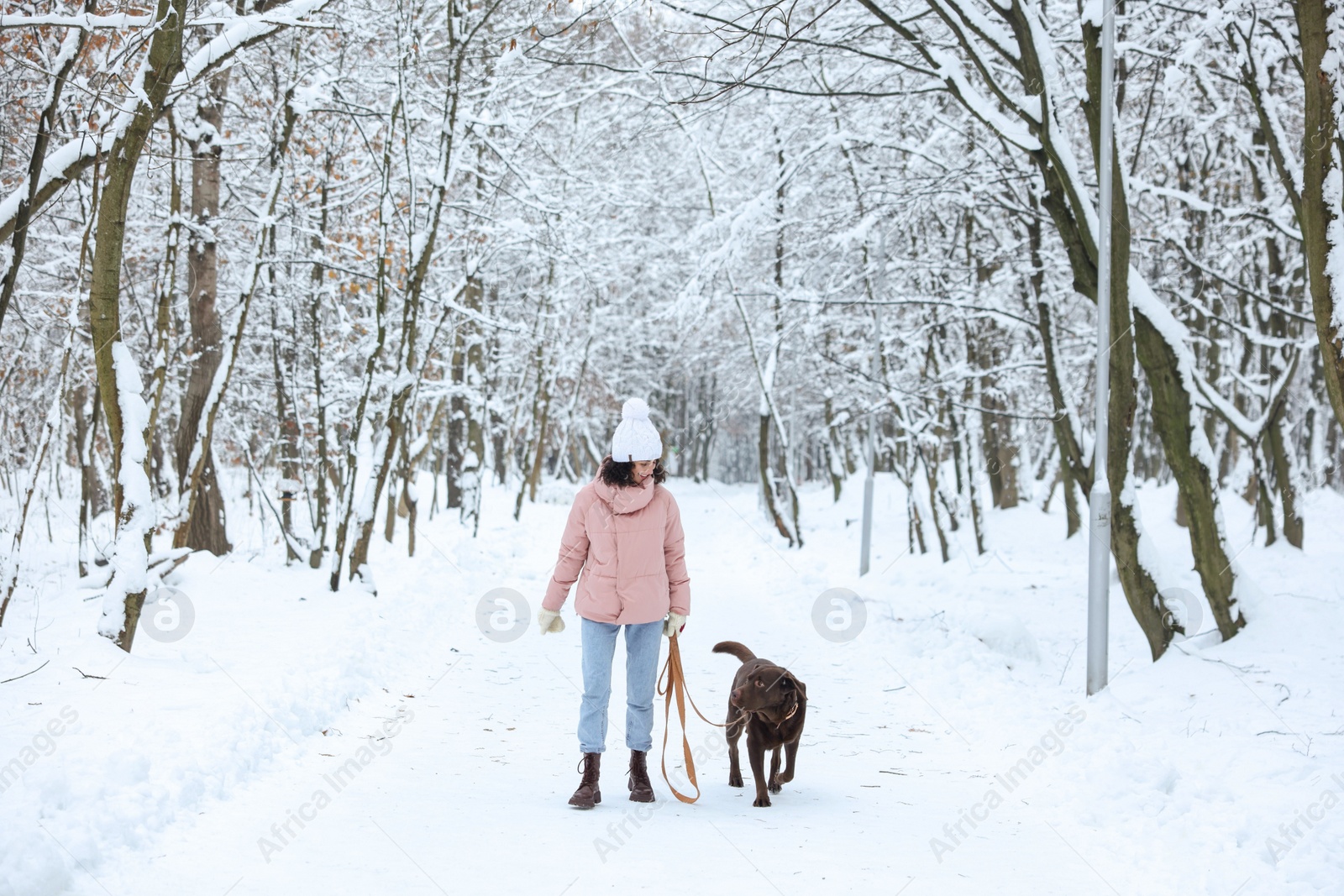 Photo of Woman walking with adorable Labrador Retriever dog in snowy park