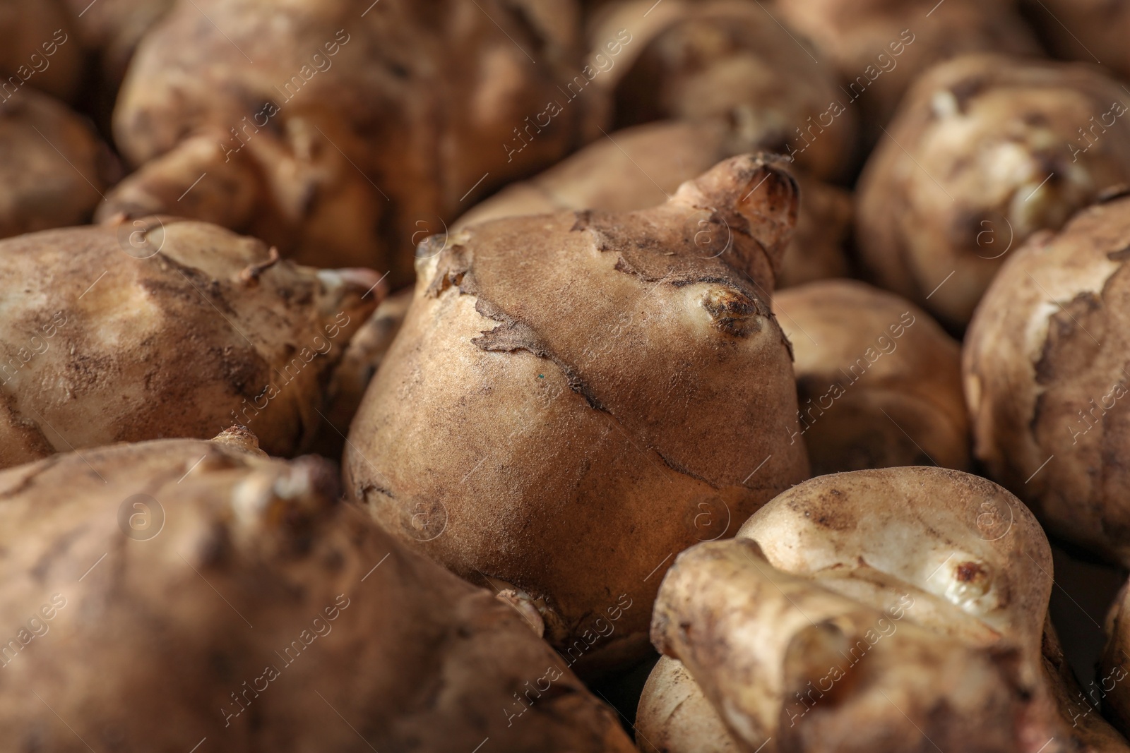 Photo of Many fresh Jerusalem artichokes as background, closeup