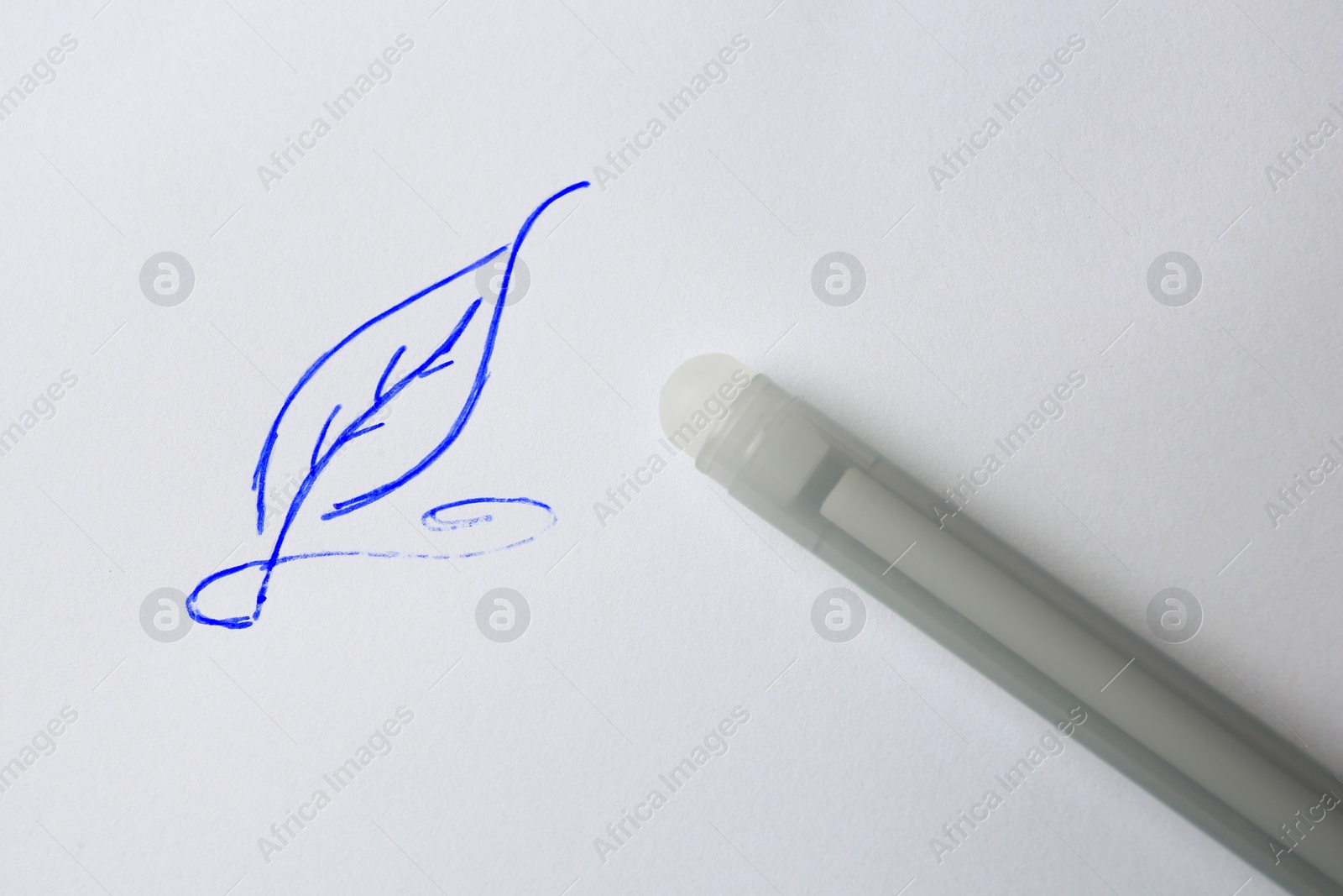 Photo of Leaf drawn on sheet of paper with erasable pen, top view