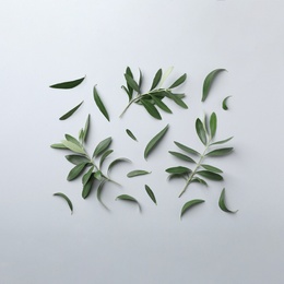 Flat lay composition with fresh green olive leaves and twigs on light background