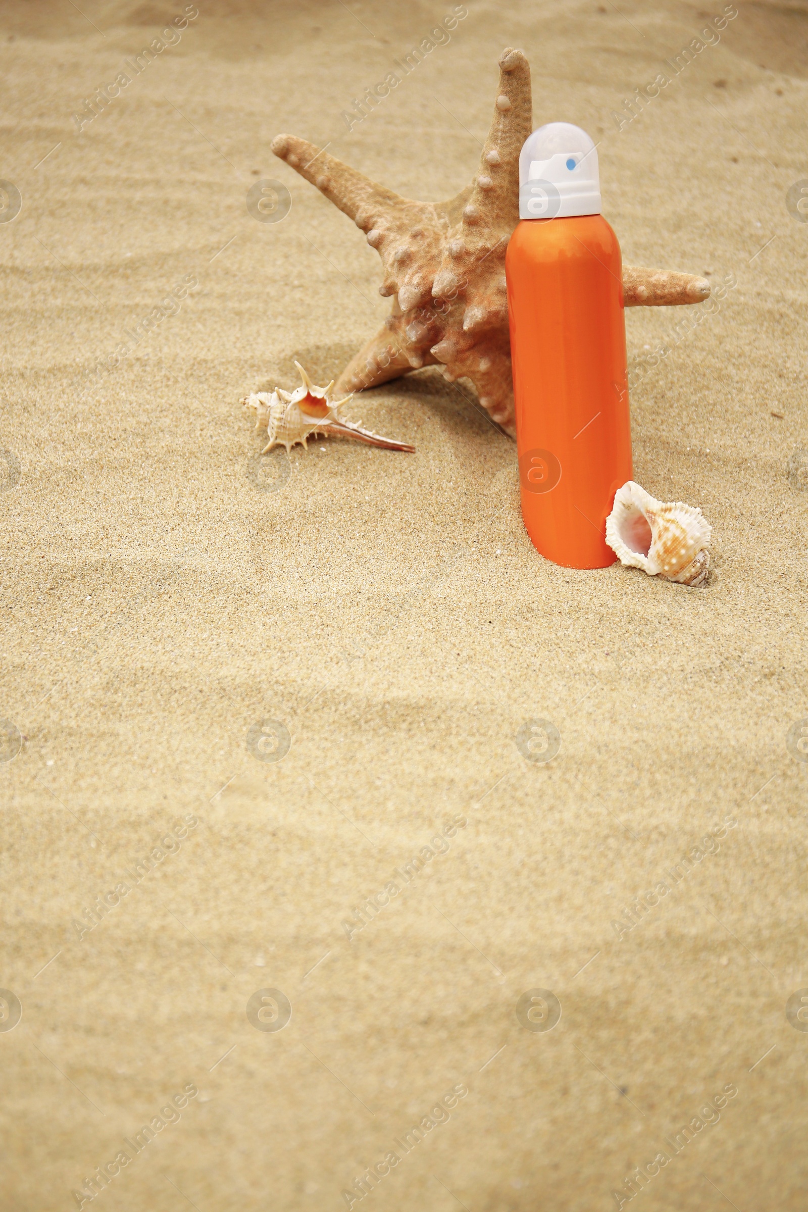 Photo of Sunscreen, starfish and seashells on sand, space for text. Sun protection care