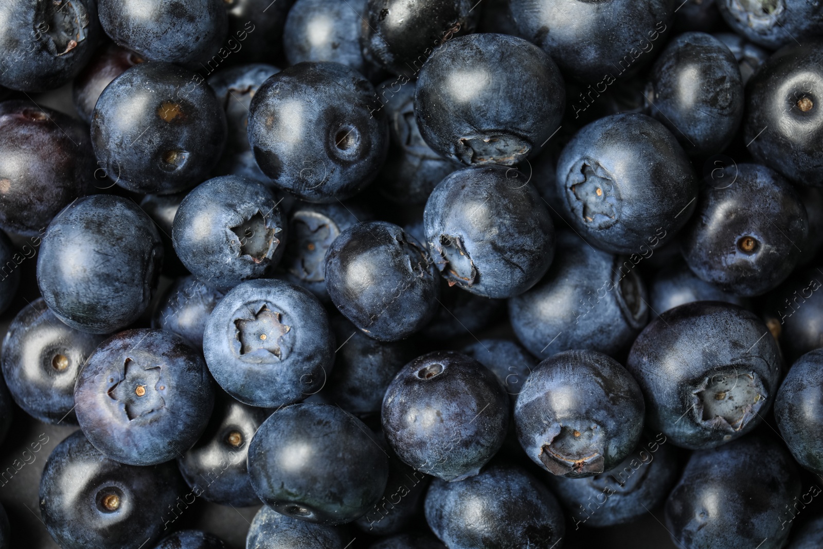 Photo of Fresh tasty blueberries as background, top view