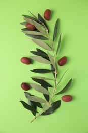 Photo of Fresh olives and leaves on light green background, flat lay