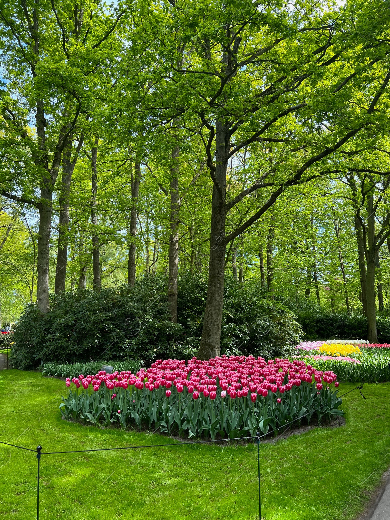 Photo of Park with variety of beautiful flowers. Spring season