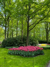 Park with variety of beautiful flowers. Spring season