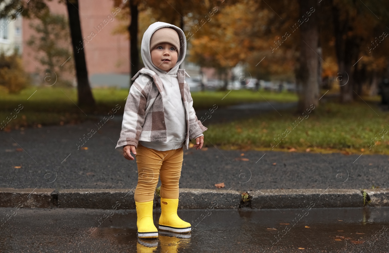 Photo of Cute little girl standing in puddle outdoors