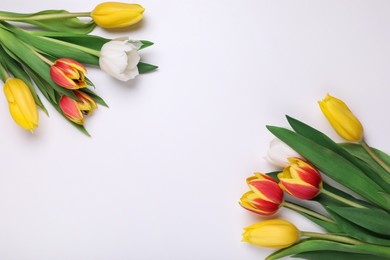 Beautiful colorful tulip flowers on white background, flat lay. Space for text