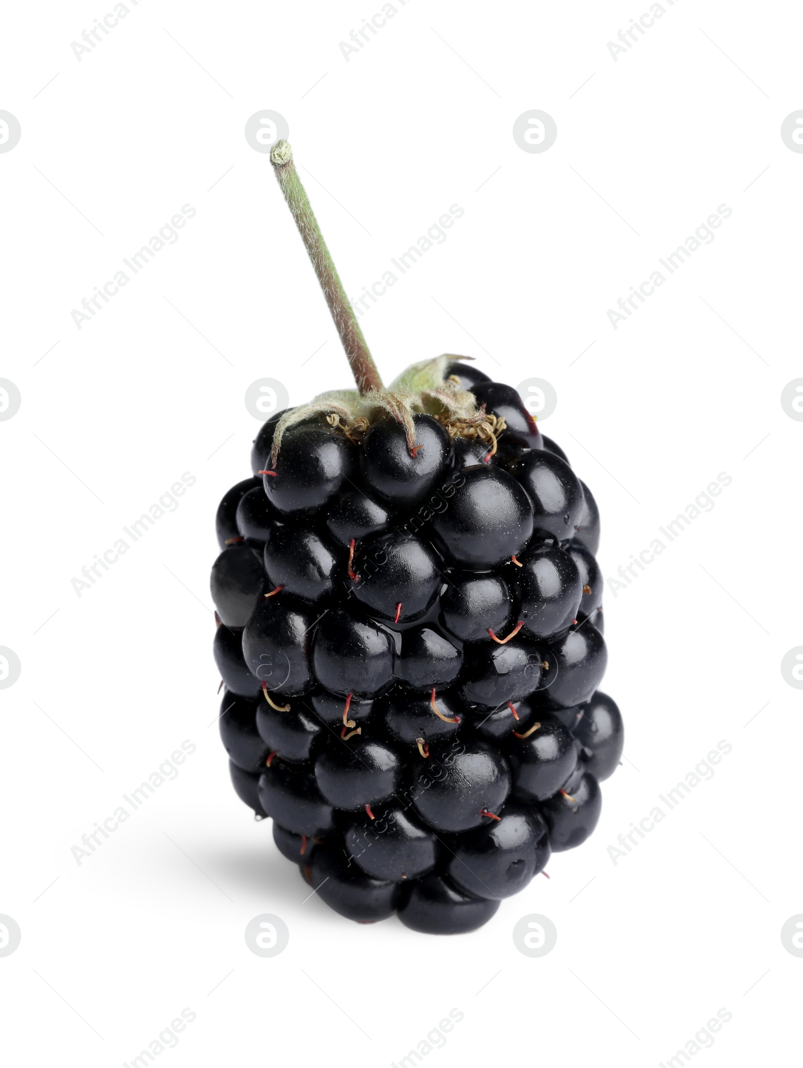 Photo of One tasty ripe blackberry isolated on white